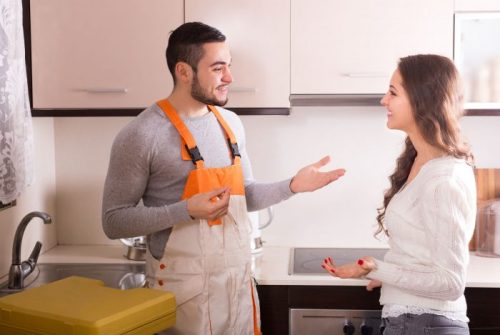 professional workman visiting customer for repairing water lines